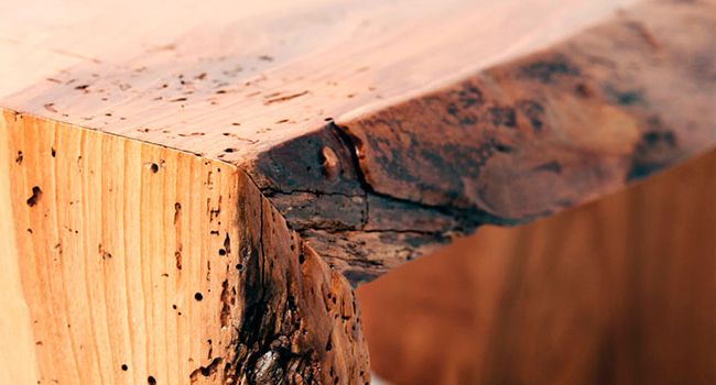 Tratamientos-para-la-carcoma Tratamientos-para-la-carcoma